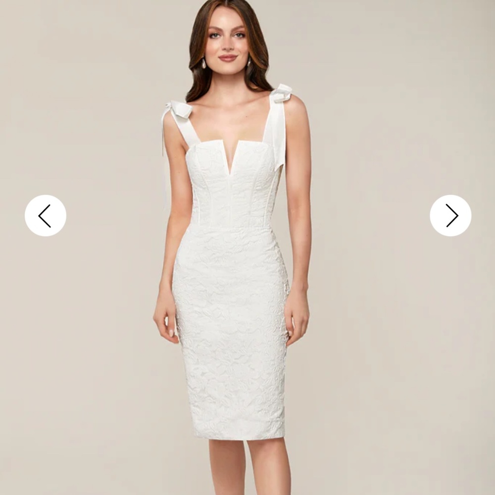 Anne Barge Wonderful Tonight Dress